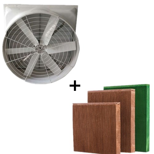 養(yǎng)殖場降溫除味選通風、換氣、降溫為一體的水簾風機