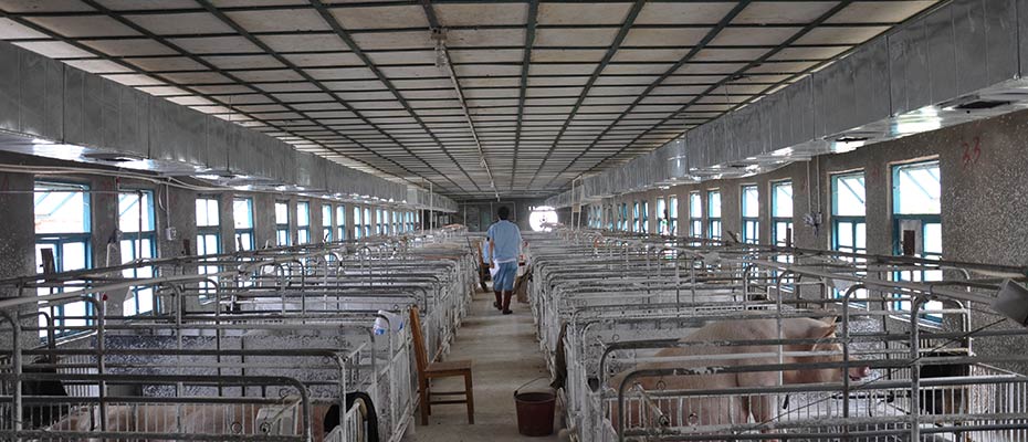 東莞環(huán)?？照{(diào)安裝